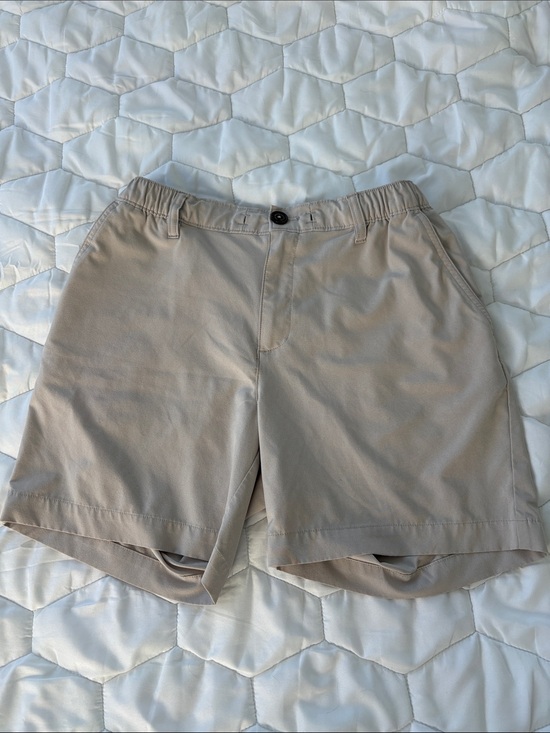chubbies Other - chubbies Tan Flat Front Casual Shorts